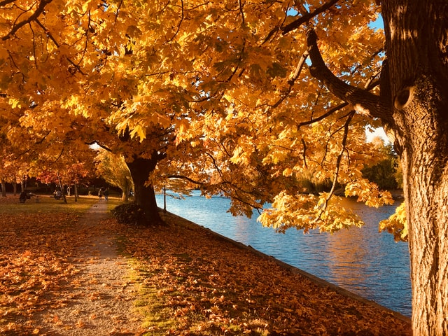 Empfehlungen für den Herbst