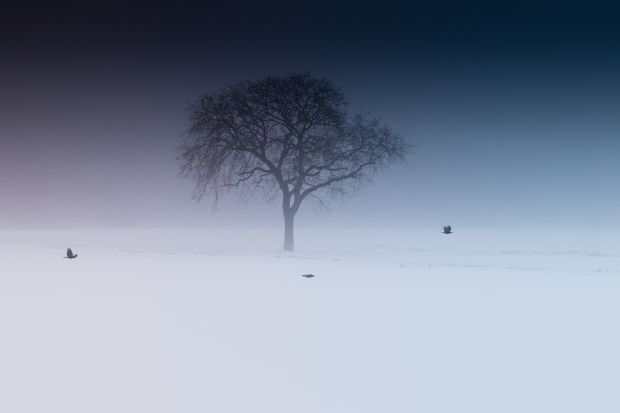 Ayurveda gegen den Winterblues