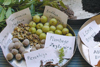 Forum zur Traditional-Herbal-Medicinal-Product-Direktive