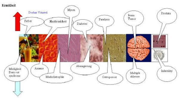 Schaubild der Krankheitsentstehung im Ayurveda mit den verschiedenen Krankheiten gemäß den Dhatus