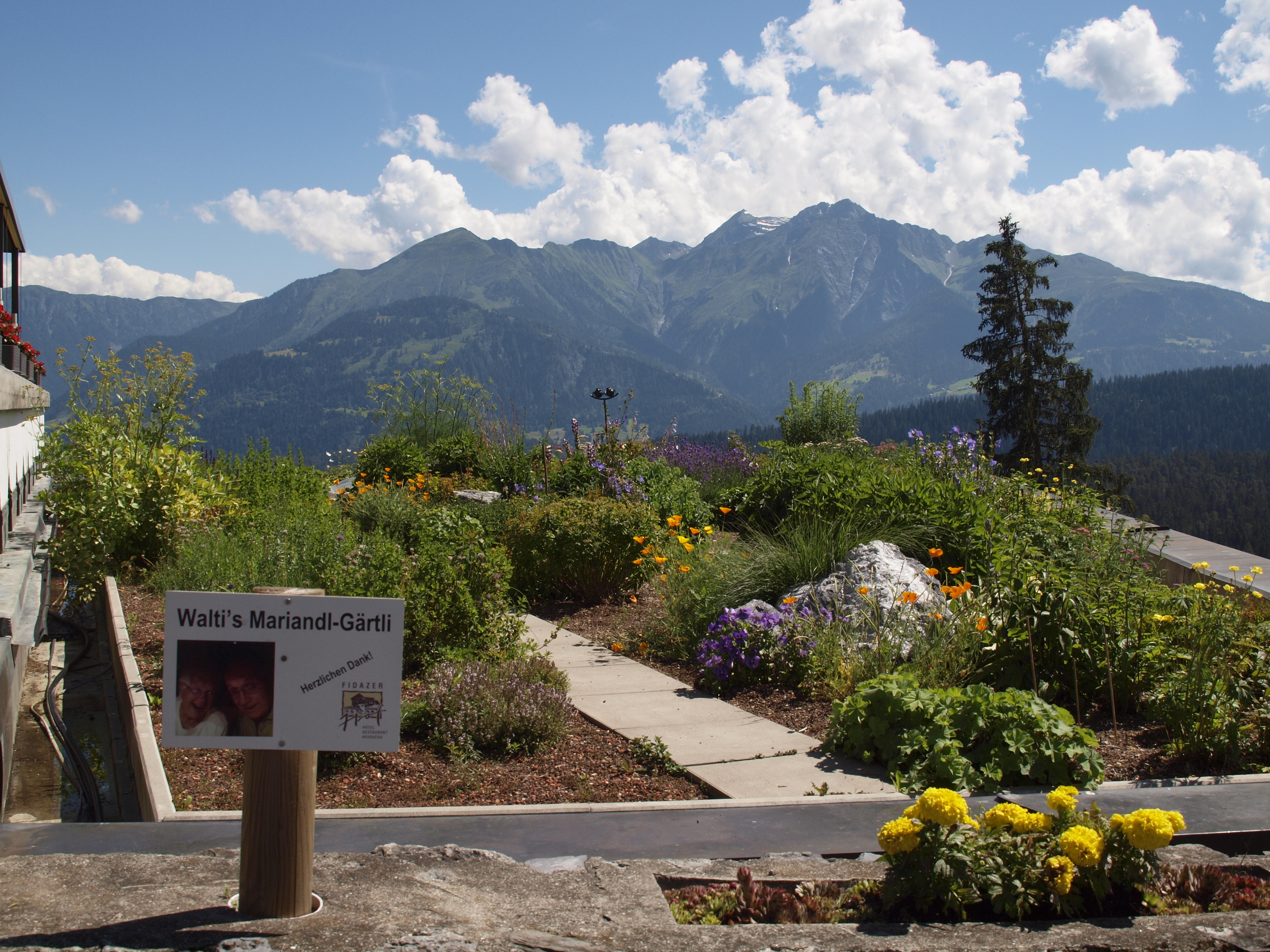 ayurveda-portal-fidazerhof-dachgarten