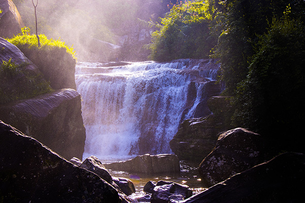 Neben Ayurveda und Wellness gibt es auf Sri Lanka auch viele Naturerlebnisse zu entdecken